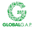 lg globalcap 100px
