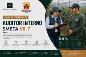 FORMACIÓN DE AUDITOR SMETA