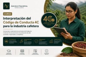 Estándar 4C