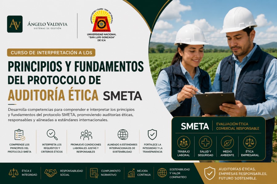 PRINCIPIOS Y FUNDAMENTOS DE AUDITORÍA SMETA