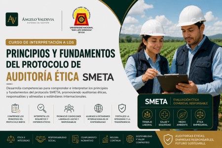 PRINCIPIOS Y FUNDAMENTOS DE AUDITORÍA SMETA