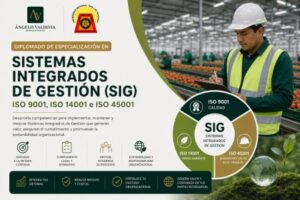 Sistemas Integrados de Gestión – ISO 9001, 14001, 45001