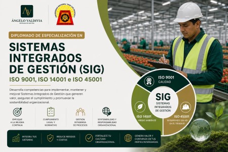 Sistemas Integrados de Gestión - ISO 9001, 14001, 45001